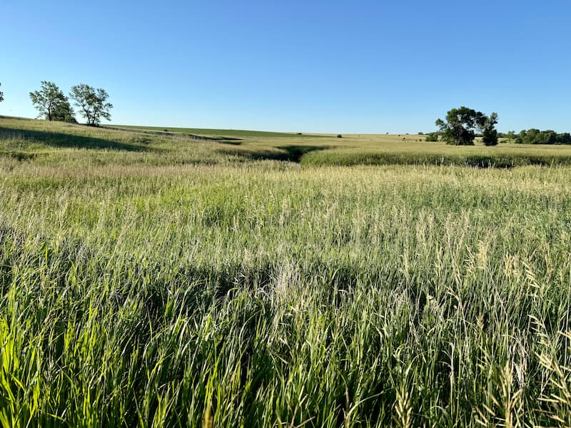 Blue Mounds State Park