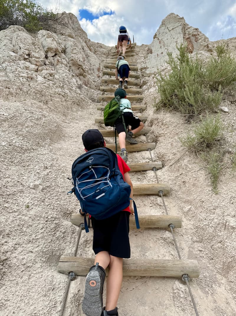 The Ladder on the Notch Trail at Badlands National Park
