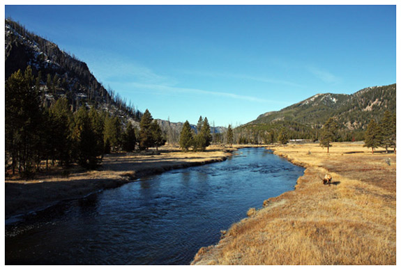 Yellowstone National Park