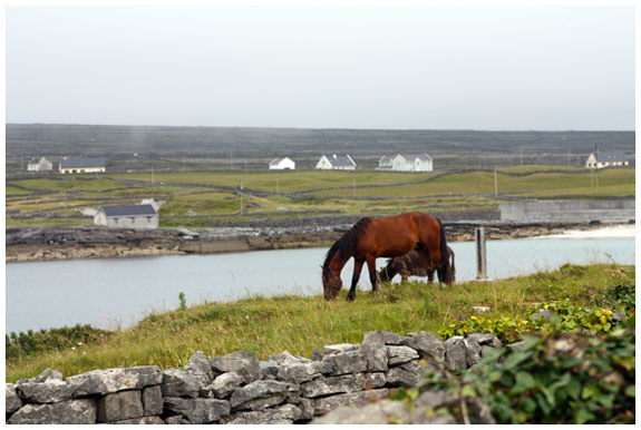 Inishmore - View from the Man of Aran Cottage